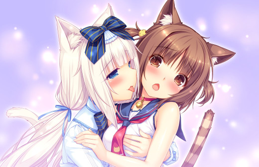 1285887 (a): :1920x1239